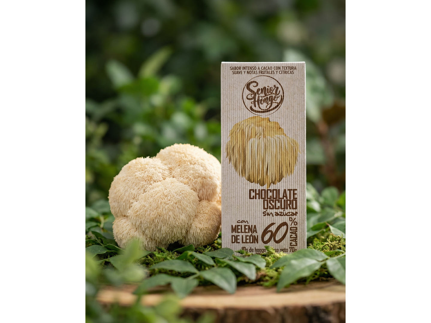 Chocolate con Melena de León -  Mente despierta 1