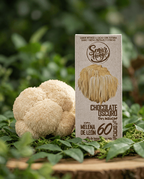 Chocolate con Melena de León