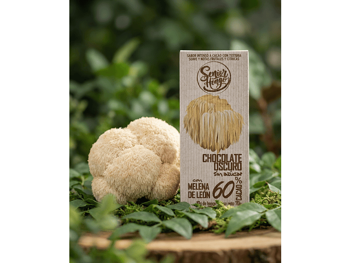 Chocolate con Melena de León -  Mente despierta 1