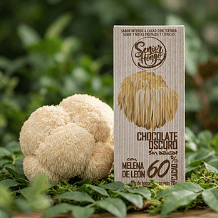 Chocolate con Melena de León -  Mente despierta