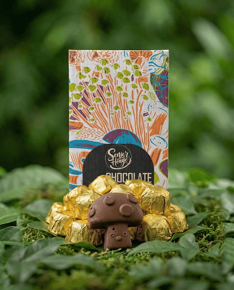 FungiMente Chocolate - Descubre nuevas dimensiones