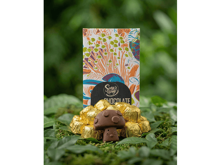 FungiMente Chocolate - Descubre nuevas dimensiones 1