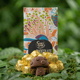 FungiMente Chocolate - Descubre nuevas dimensiones