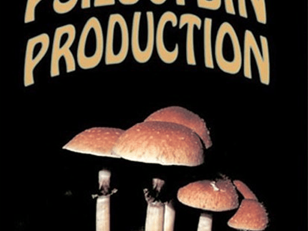 THE PSILOCYBIN PRODUCERS GUIDE PDF