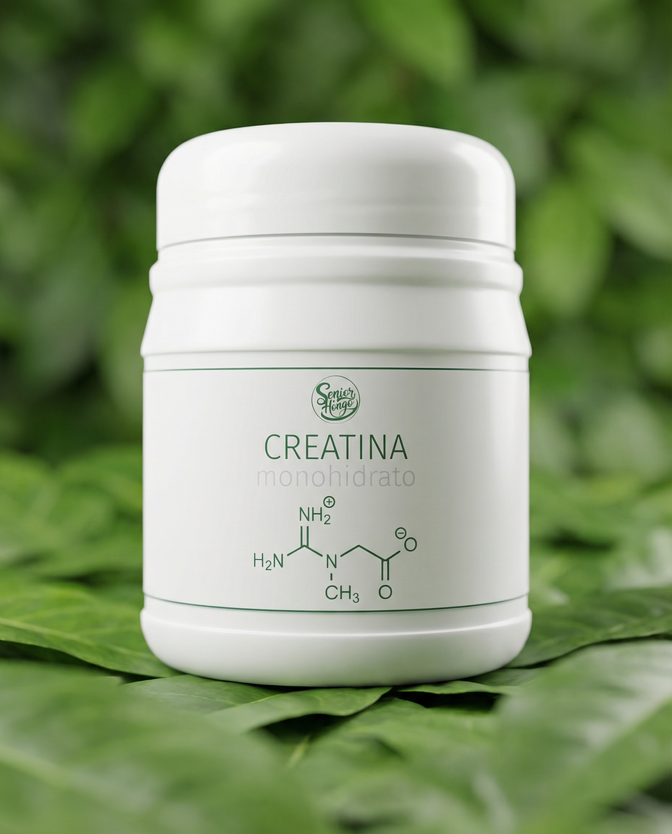 Creatina Monohidrato 300 g 1