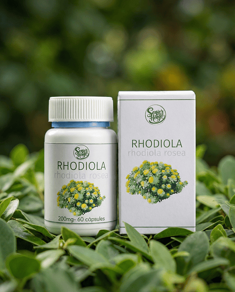 Rhodiola rosea extracto 200 mg – 60 Cápsulas