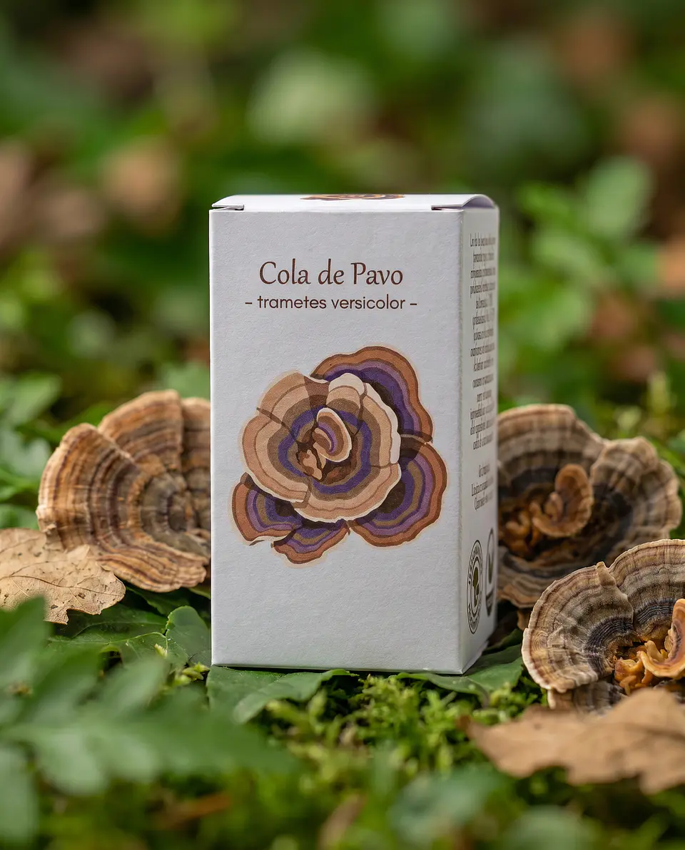Cola de Pavo - Fortalece el Sistema Inmune 1
