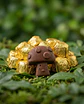 FungiMente Chocolates  X12 (1g c/u) - Miniatura 3