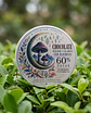 FungiMente Chocolates  X12 (1g c/u) - Miniatura 1