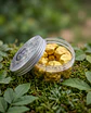 FungiMente Chocolates  X12 (1g c/u) - Miniatura 2