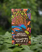 FungiMente Chocolate Barra 12g - Miniatura 1