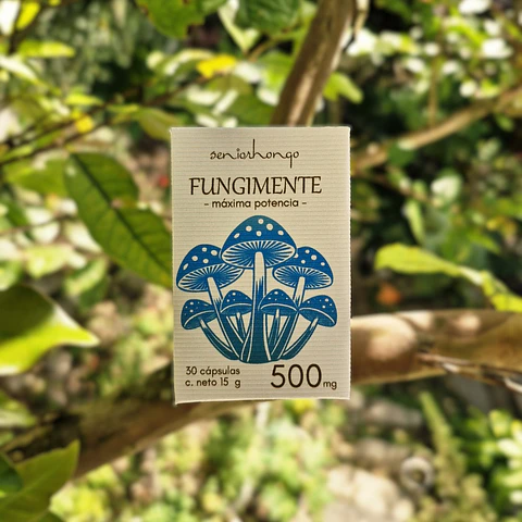 FungiMente Microdosis - Claridad Mental, Enfoque y Presencia