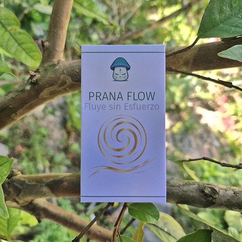 PRANA FLOW - Enfoque Cognitivo, Fluye sin Esfuerzo.