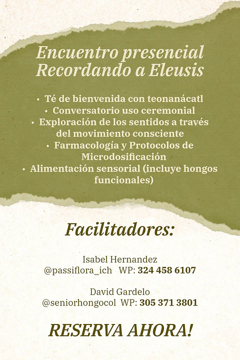 TALLER RECORDANDO A ELEUSIS