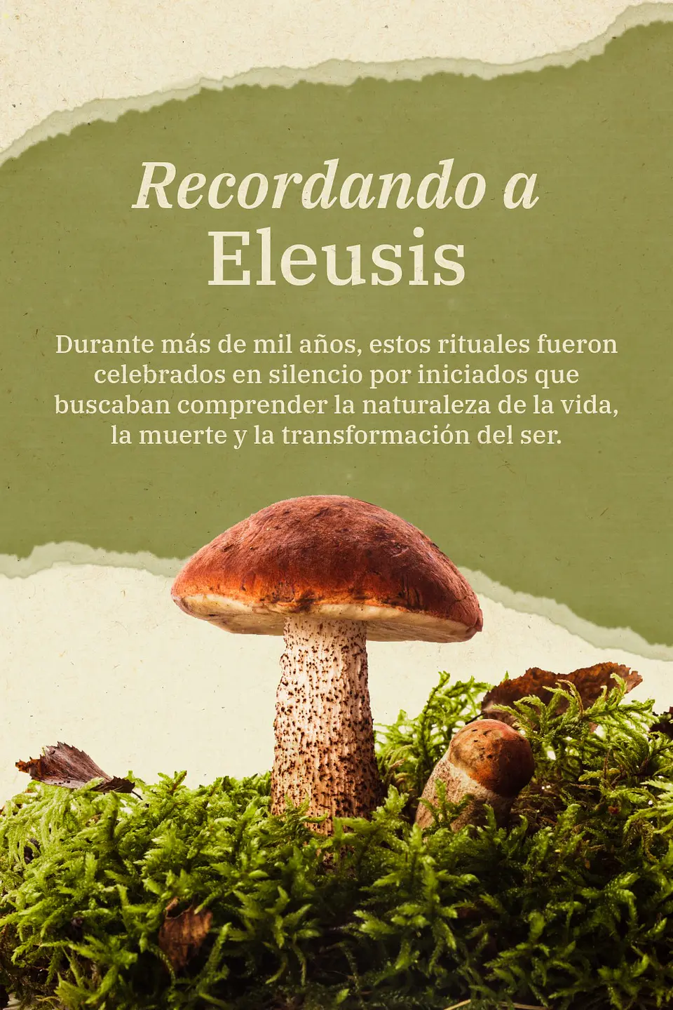 TALLER RECORDANDO A ELEUSIS 3
