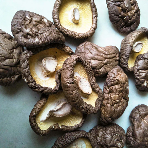 Shiitake Deshidratado | Hongo Comestible