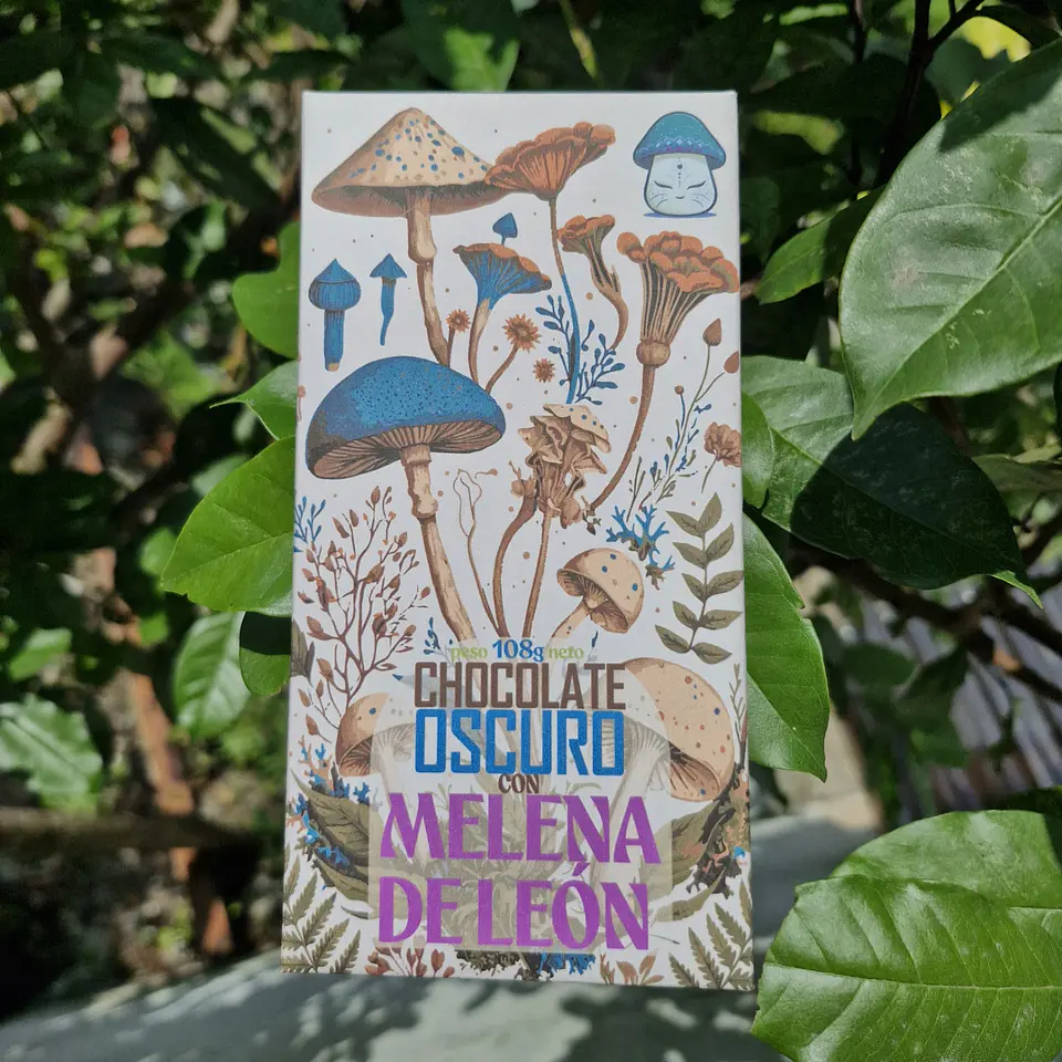 Melena de León | Chocolate Orgánico 1