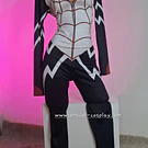 Enterizo spider