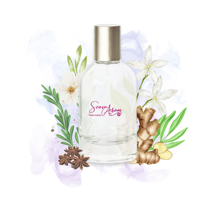 VIP ESSENCE Inspirado en 212 vip 1