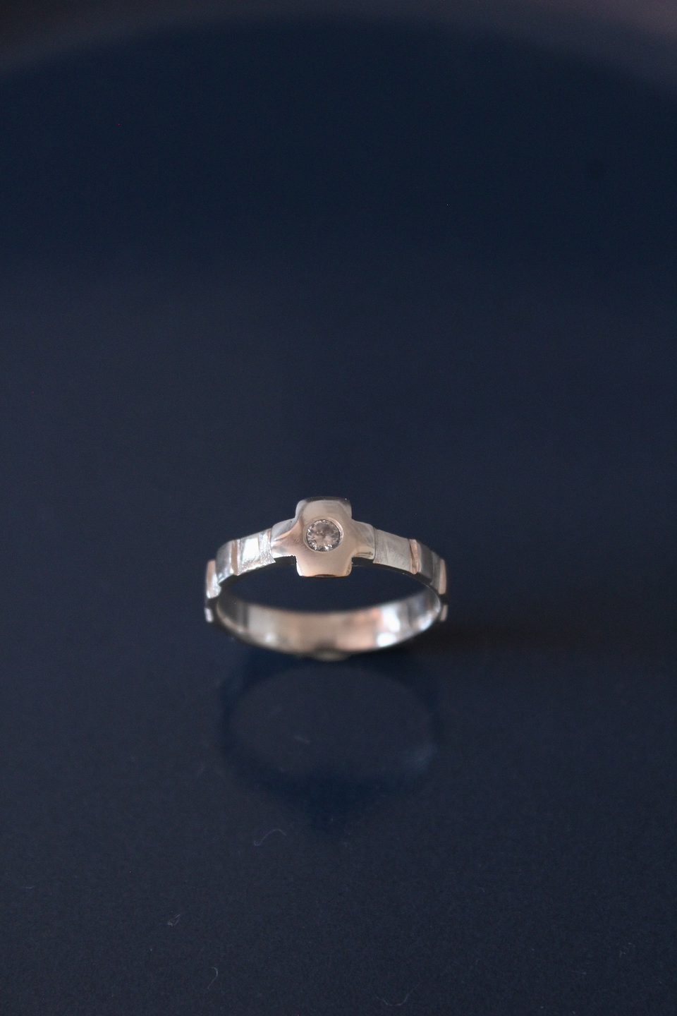 Denario con circón 2