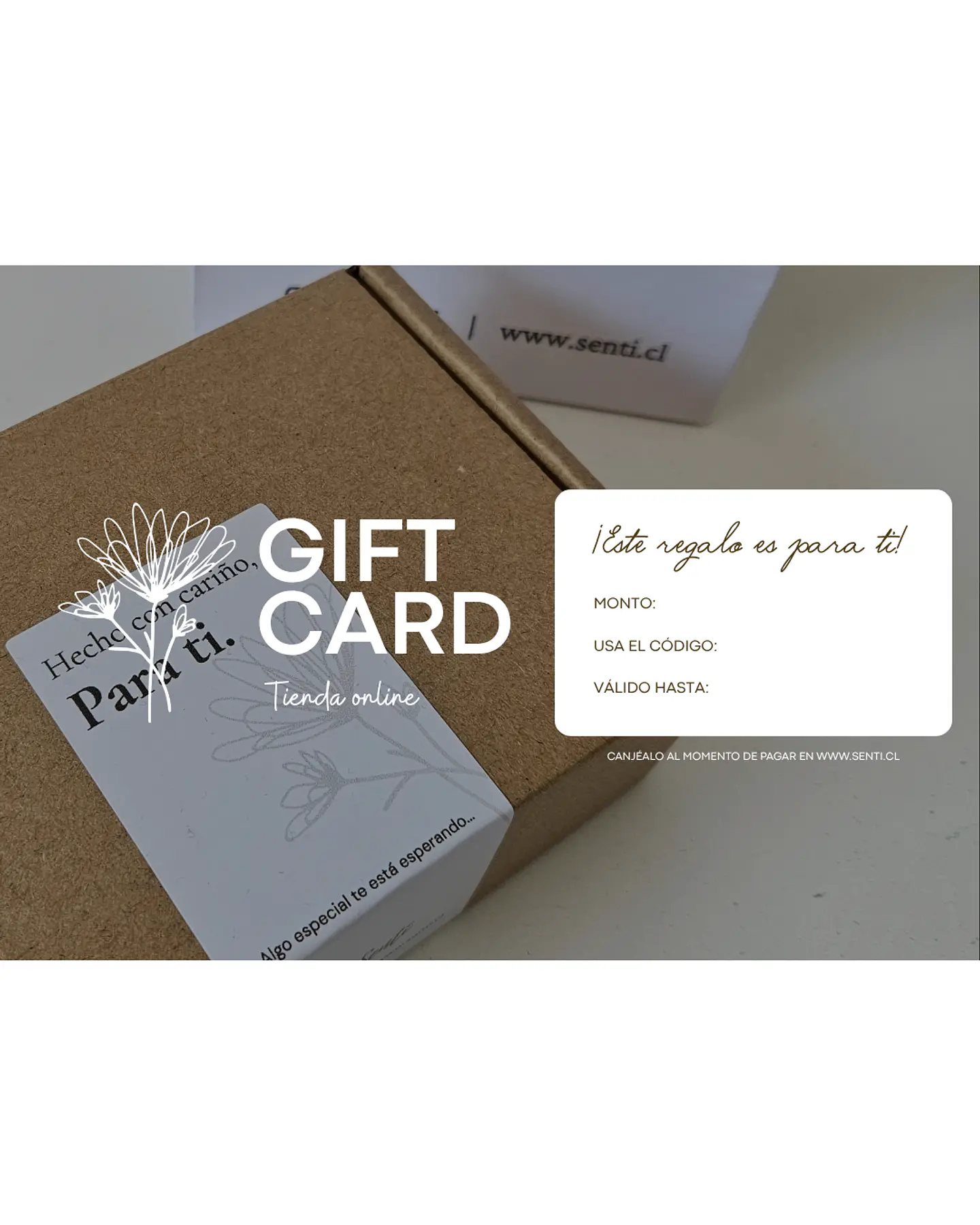 Gift Card - Tienda online 2