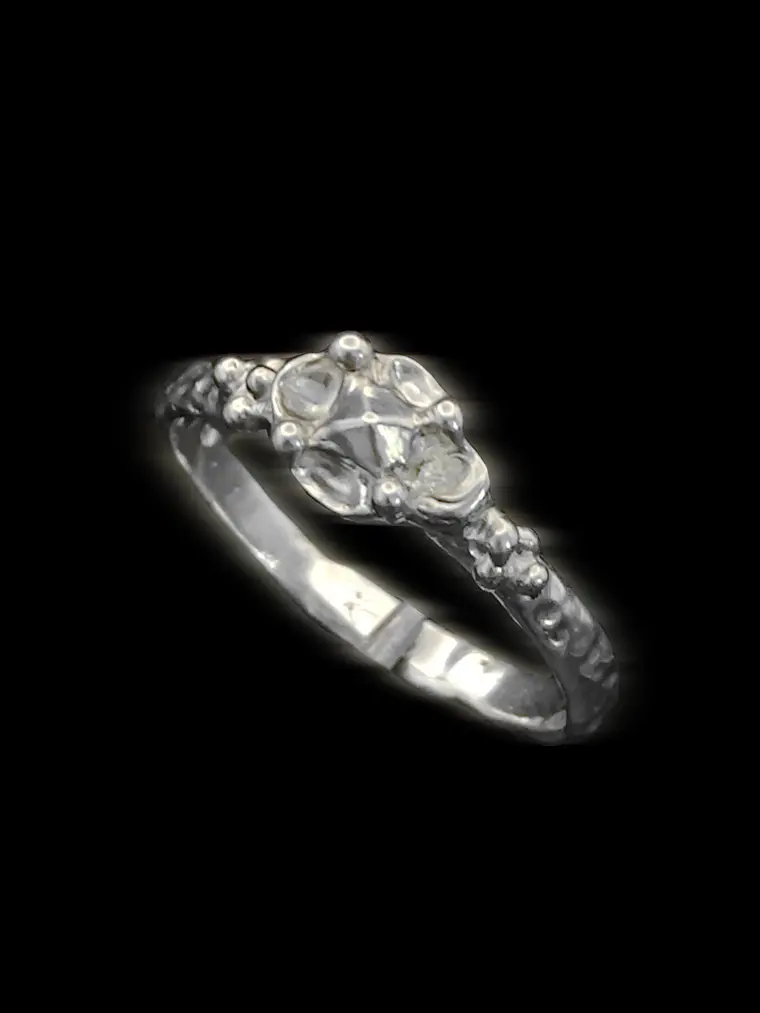 Anillo Nidal 1