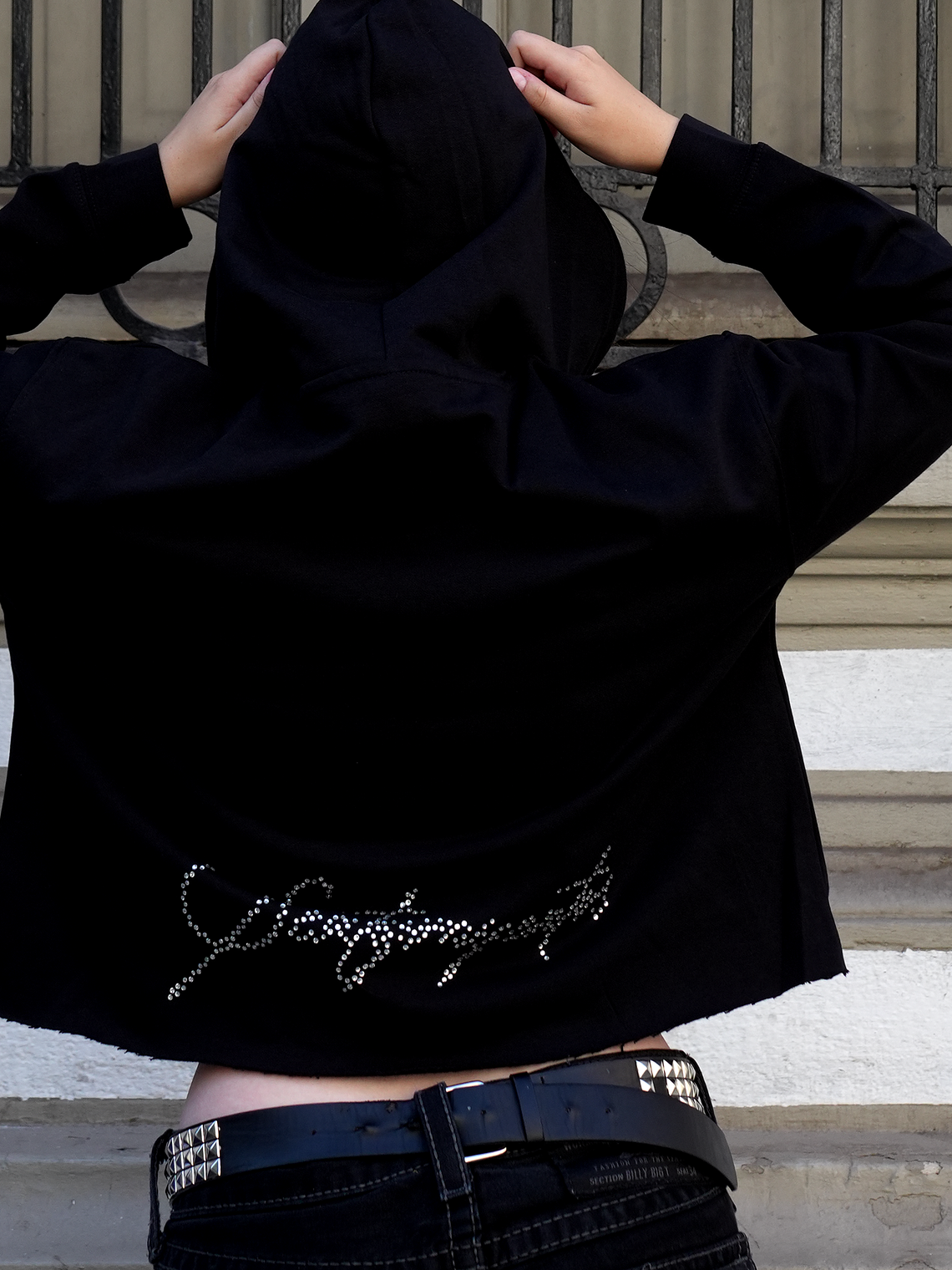 Crystals Crop Hoodie 3