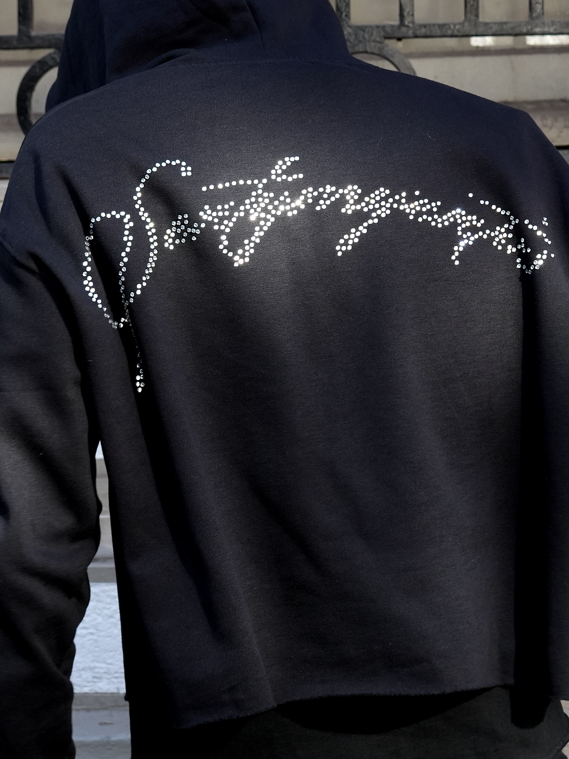 Big Logo Crystals Crop Hoodie 1