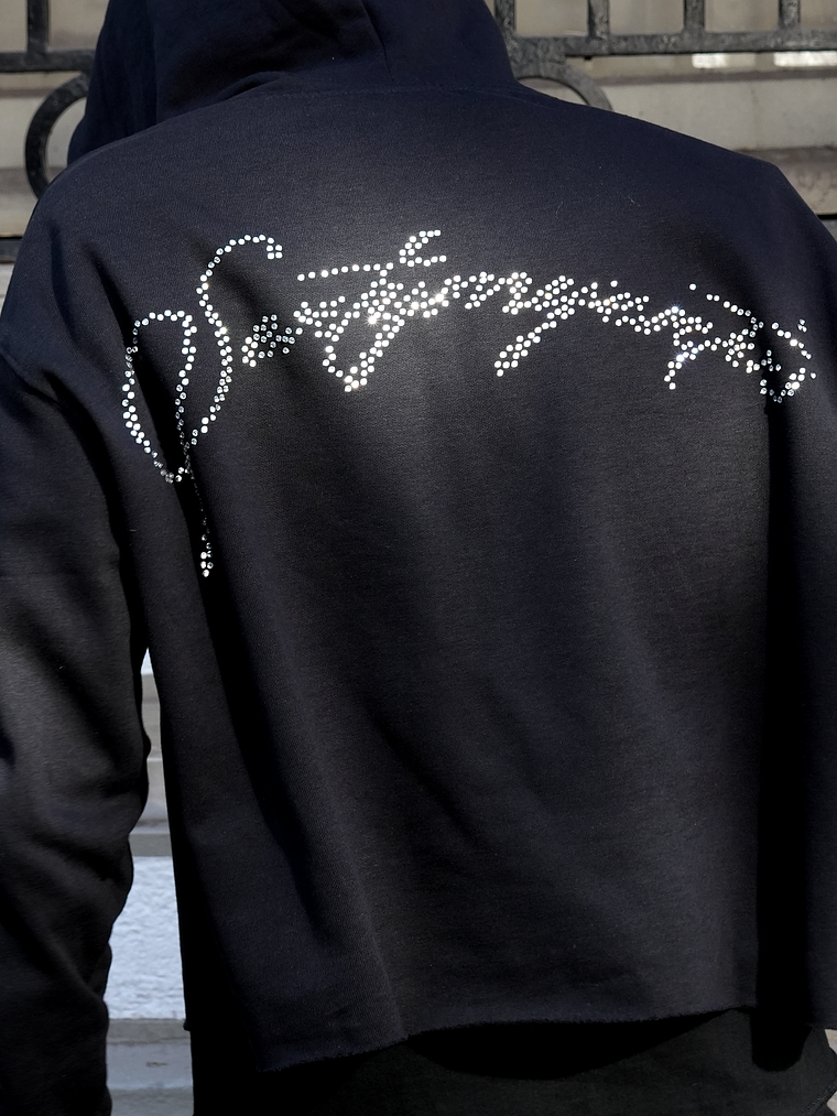 Big Logo Crystals Crop Hoodie 1