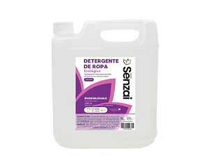 DETERGENTE | RECARGA 5 LT