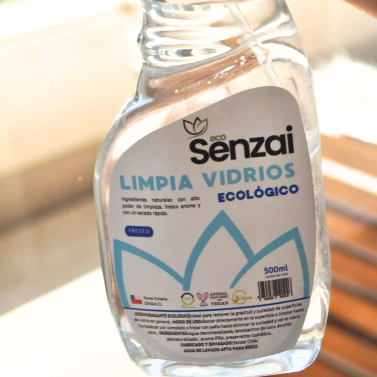 LIMPIA VIDRIO EN SPRAY 1