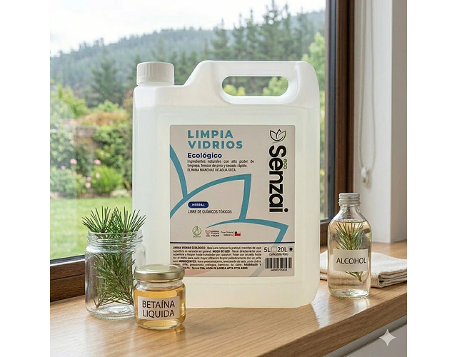 LIMPIA VIDRIO RECARGA 5L