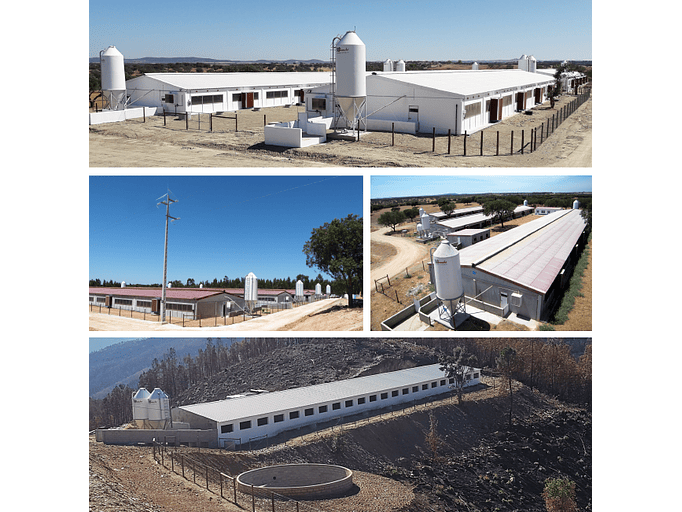 Explorações Agropecuárias - Projetos e Legalizações 2