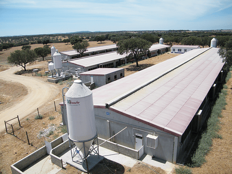 Explorações Pecuárias