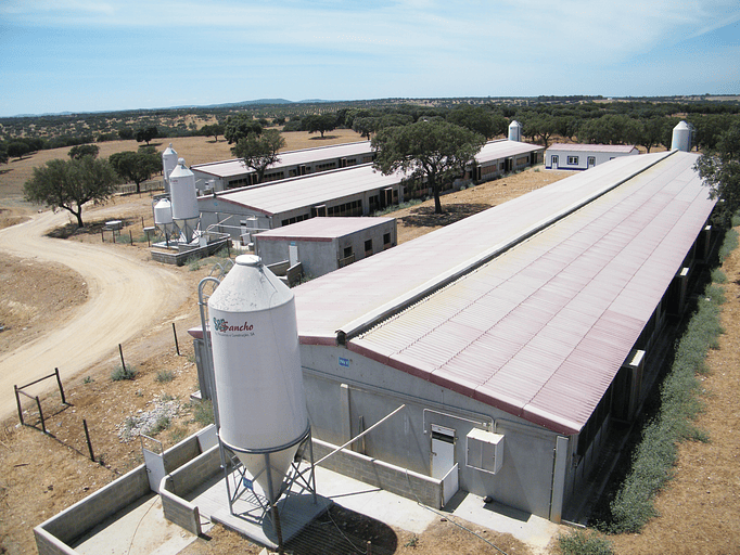 Explorações Pecuárias 1