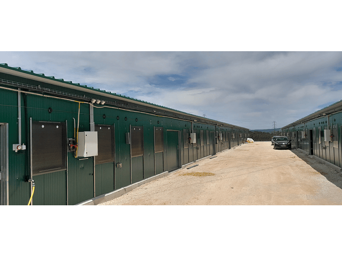 Explorações Pecuárias 4