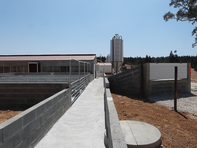 Explorações Pecuárias 5