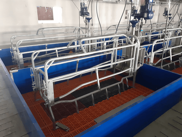 Maternidade BIG SEP 1