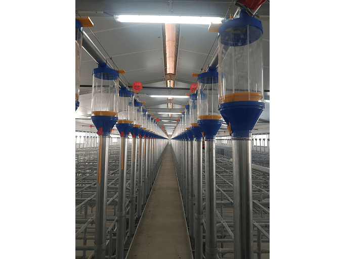 Gestação em Cela 2