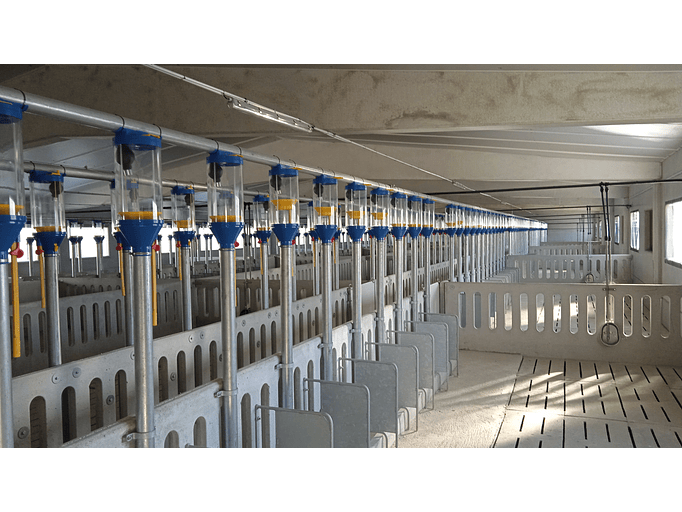 Parques Gestação 1