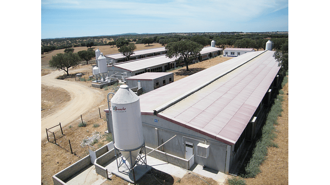 Explorações Pecuárias