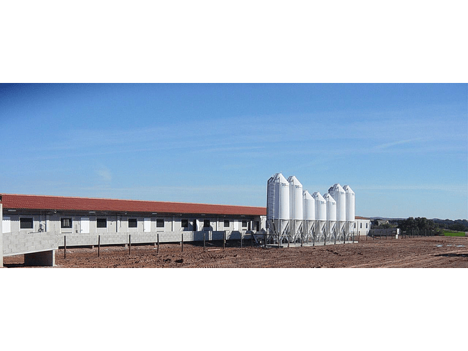 Explorações Pecuárias 6