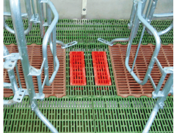 Estrado PVC Limpeza 4