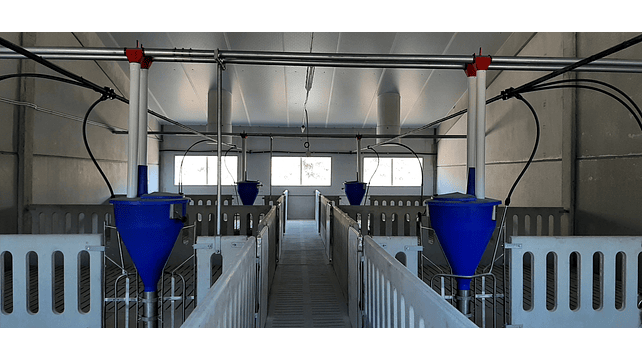 Parques e Maternidades