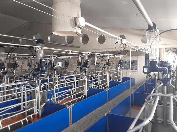 Maternidade BIG SEP 2