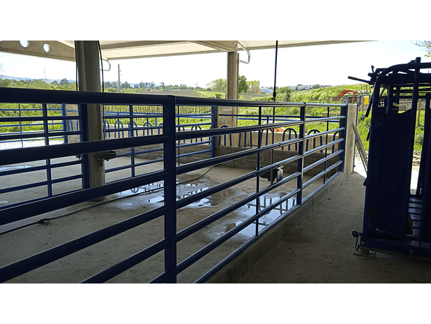 Parques para animais 2