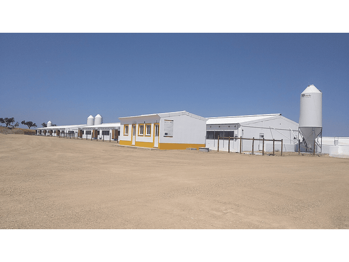 Explorações Pecuárias 2