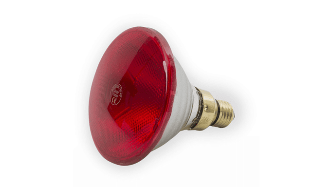 Chapéus Aquecimento 2