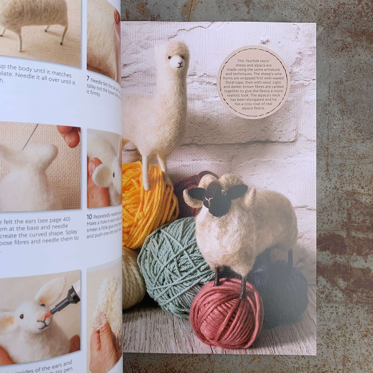 Needle Felting: Beginner + Intermediate Guide to Needle Felting: Needle  Felting Compendium for Beginner and Intermediate Wool Artists (Paperback)