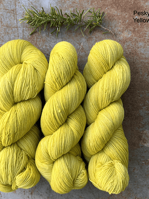 Serafina* Solteiro Italiano, Single Ply Italian Merino